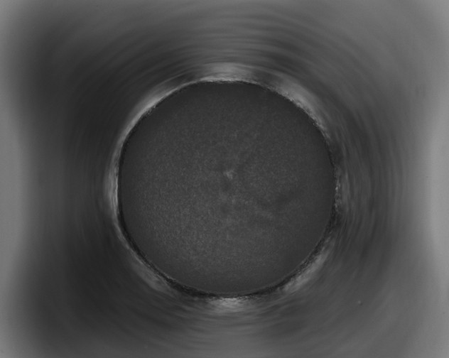X0000097851130200803201532