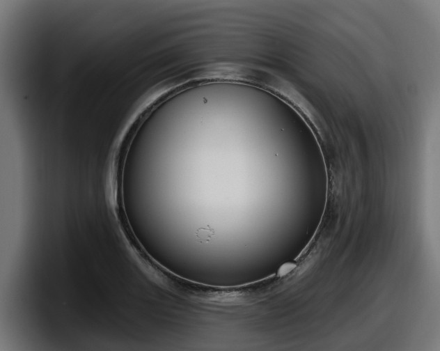 X0000097851131200803201532