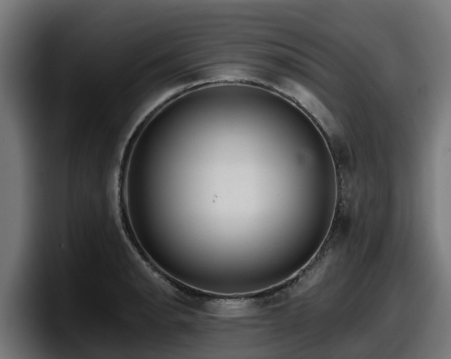 X0000097851134200803201532