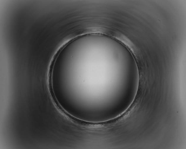 X0000097851135200803201532