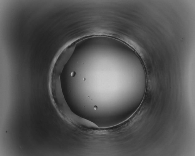 X0000097851136200803201533