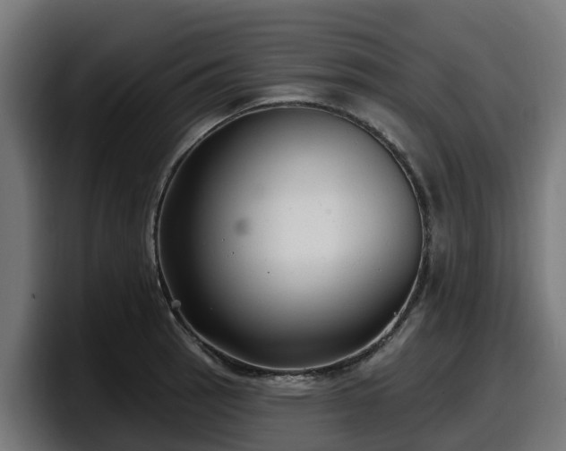 X0000097851137200803201533