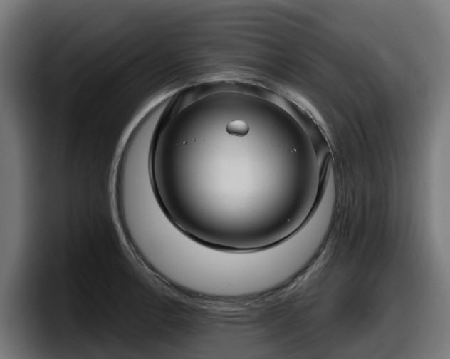 X0000097851138200803201533