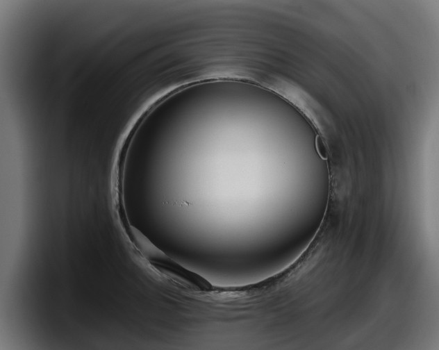 X0000097851140200803201533