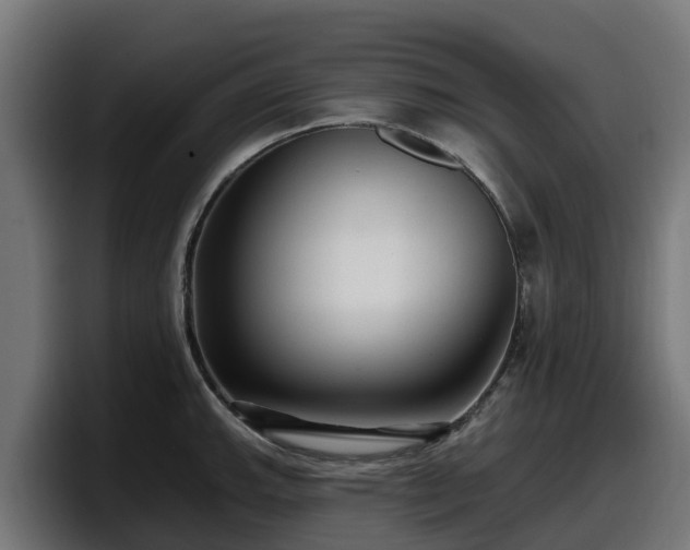 X0000097851143200803201533