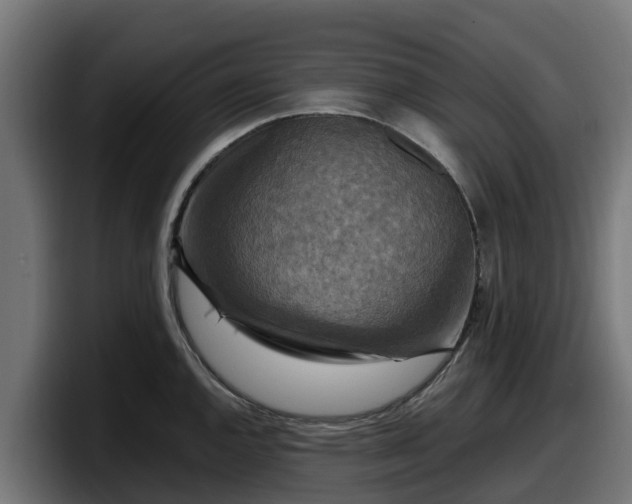 X0000097851144200803201533
