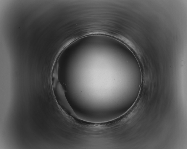 X0000097851145200803201533