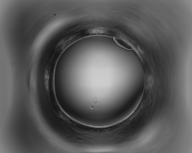 X0000097851151200803201533
