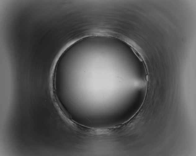 X0000097851152200803201533