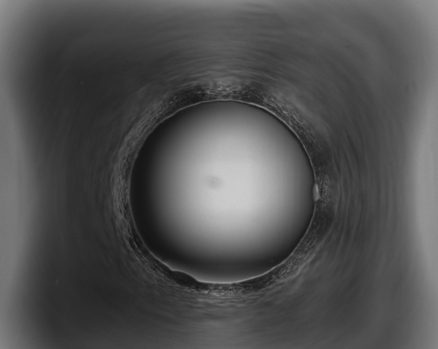 X0000097851153200803201532