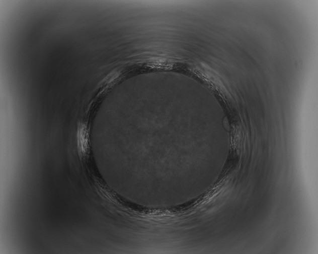 X0000097851154200803201532