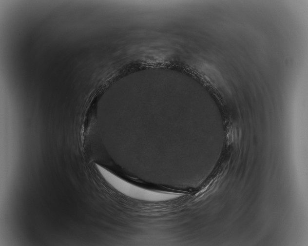X0000097851156200803201532