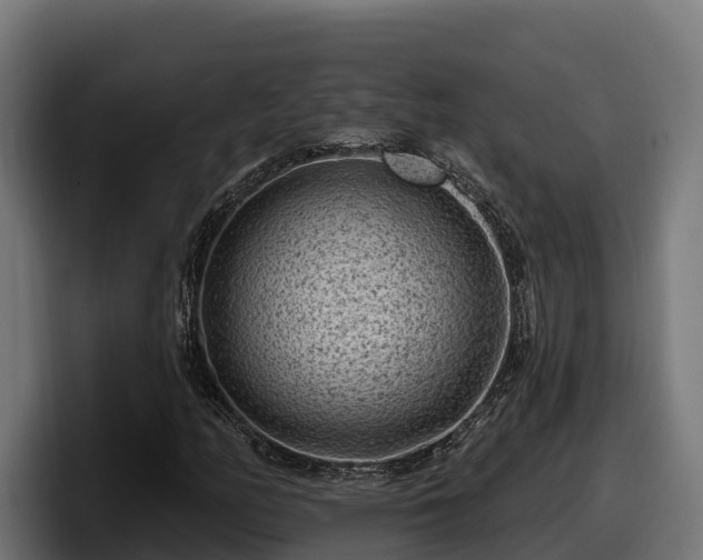 X0000097851158200803201532