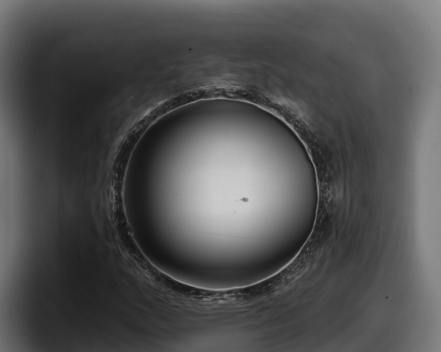 X0000097851159200803201532