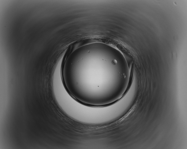 X0000097851161200803201532