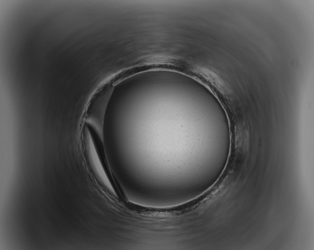 X0000097851164200803201532