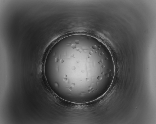 X0000097851166200803201532