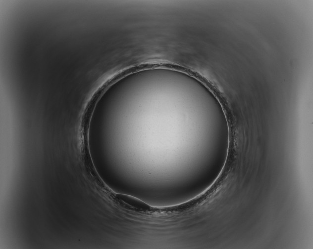 X0000097851167200803201532