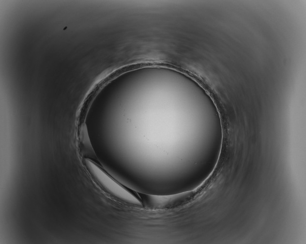 X0000097851168200803201532