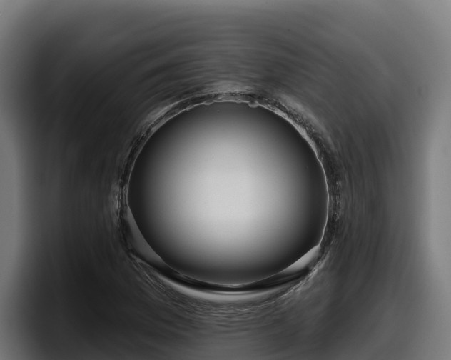 X0000097851169200803201532