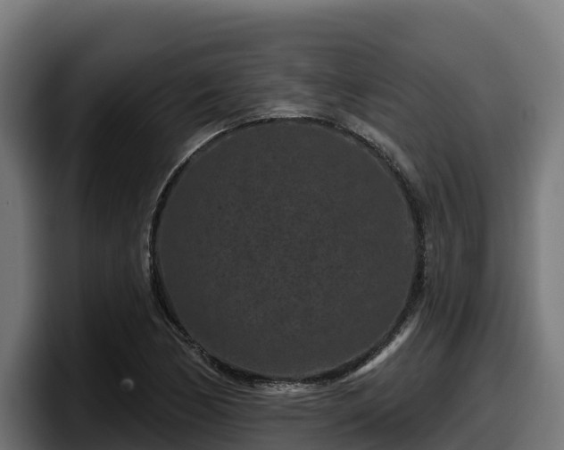 X0000097851170200803201532