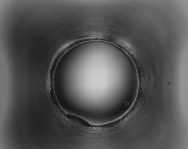X0000097851172200803201532
