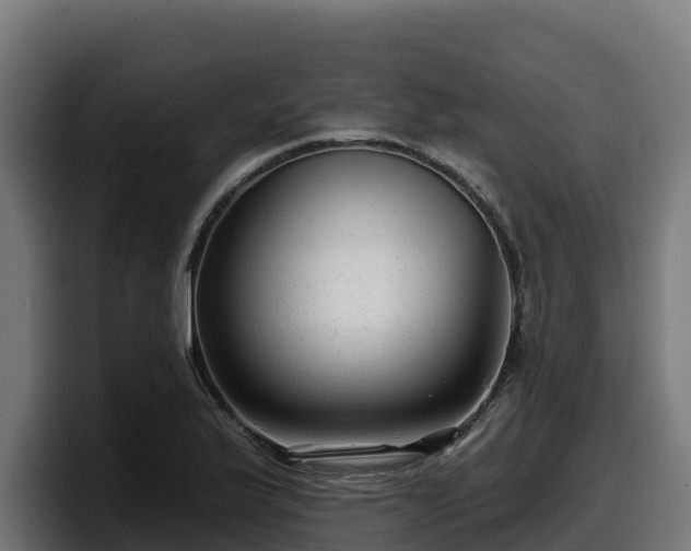 X0000097851175200803201532