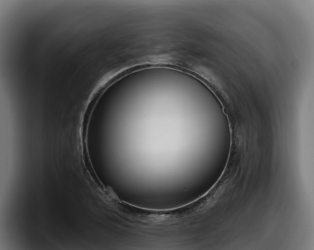 X0000097851176200803201532