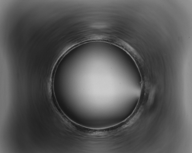 X0000097851178200803201532