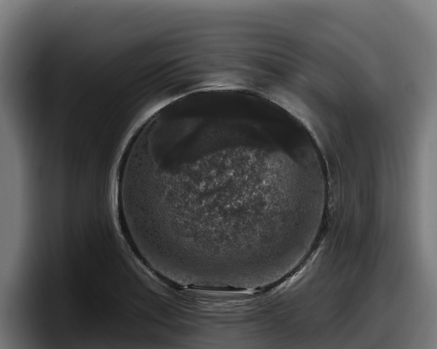X0000097851179200803201532