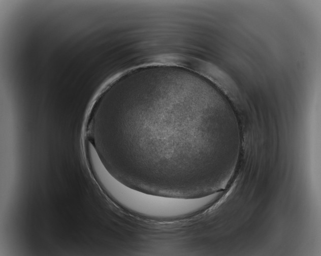 X0000097851180200803201532