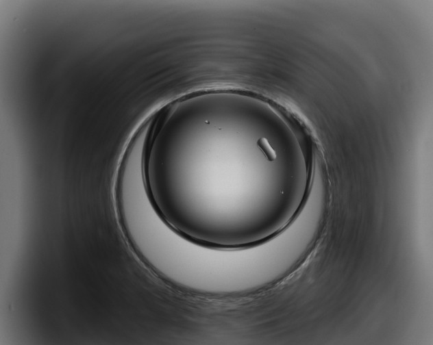 X0000097851181200803201532