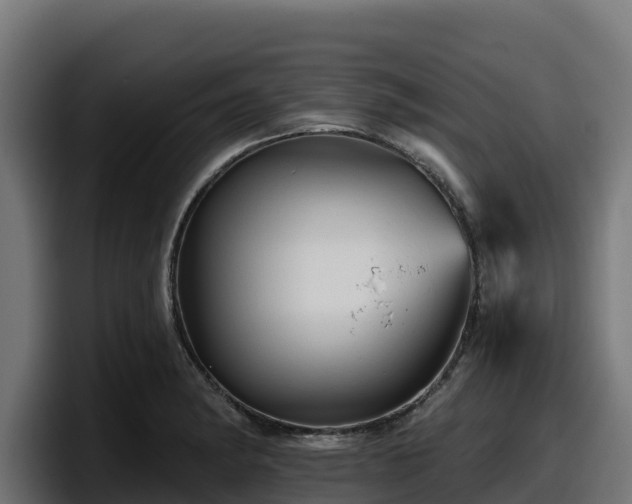 X0000097851182200803201532