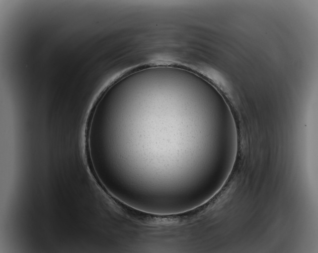 X0000097851183200803201532