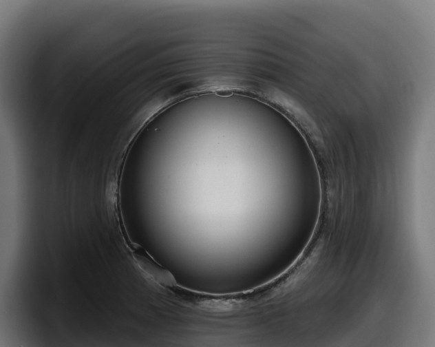 X0000097851185200803201532