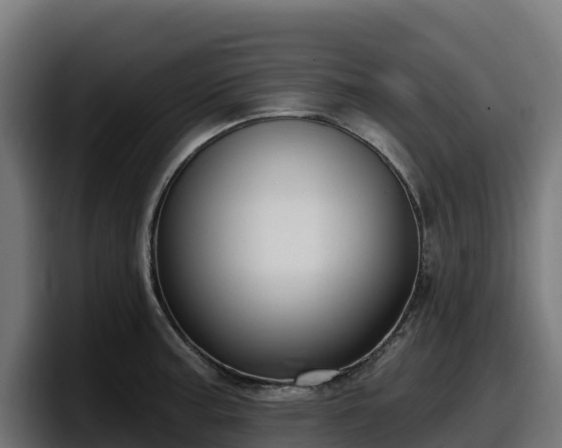 X0000097851187200803201532