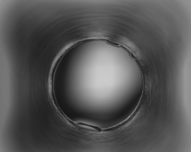 X0000097851188200803201532