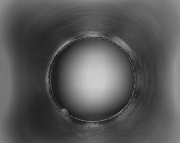 X0000097851190200803201532