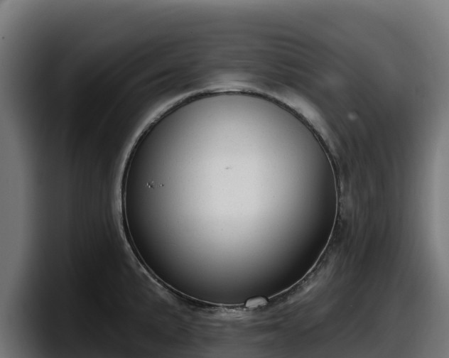 X0000097851191200803201532