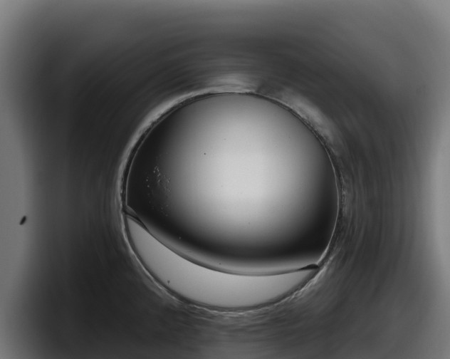 X0000097851192200803201532
