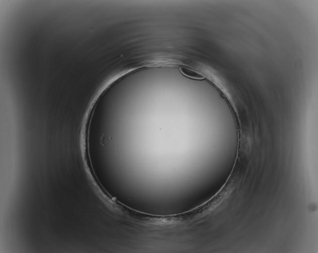 X0000097851195200803201532