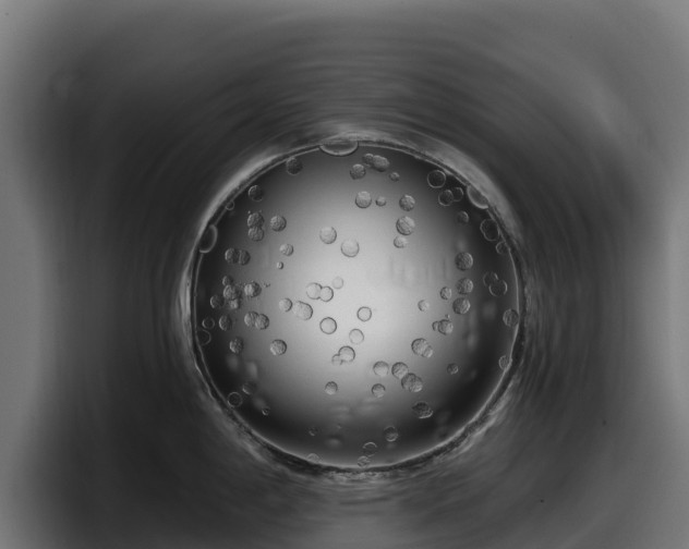 X0000097851198200803201532