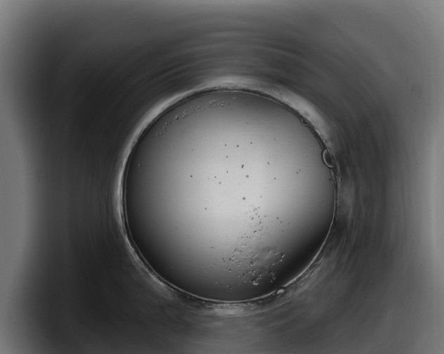 X0000097851199200803201531