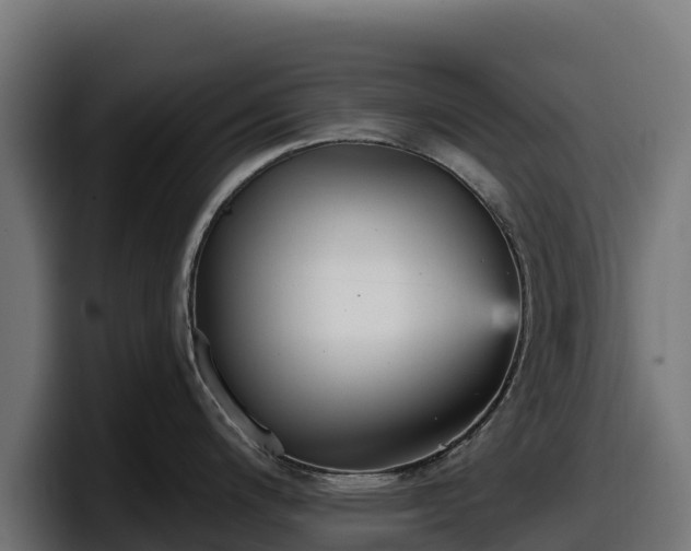 X0000097851200200803201531