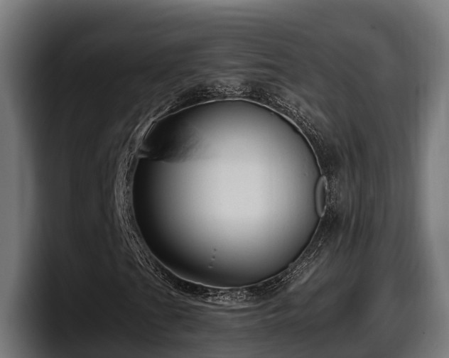 X0000097851201200803201531