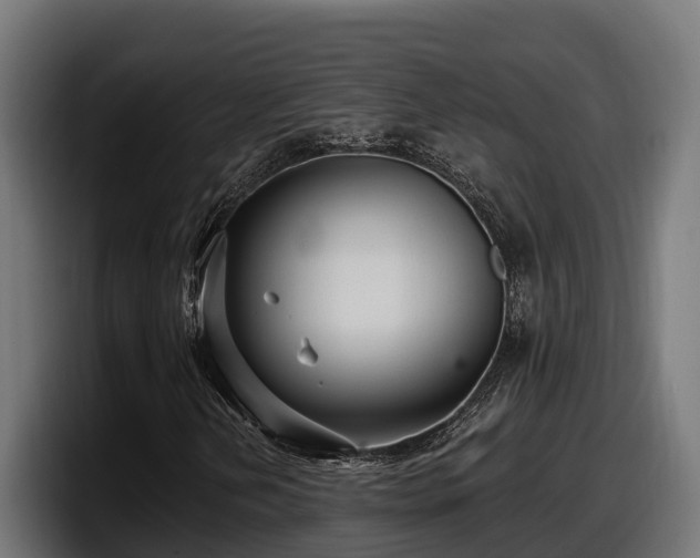 X0000097851202200803201531