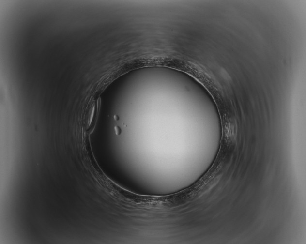 X0000097851204200803201531