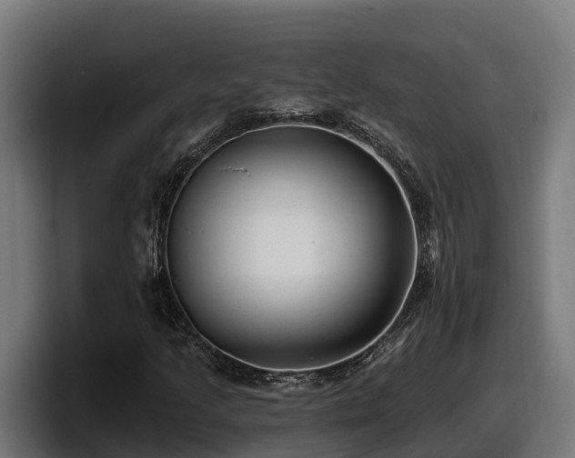 X0000097851205200803201531