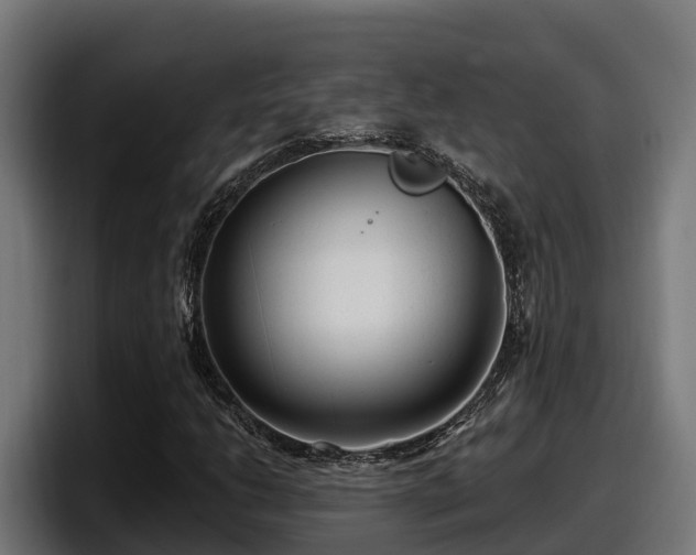 X0000097851206200803201531