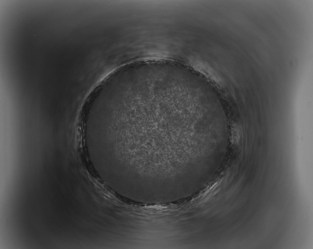 X0000097851208200803201531